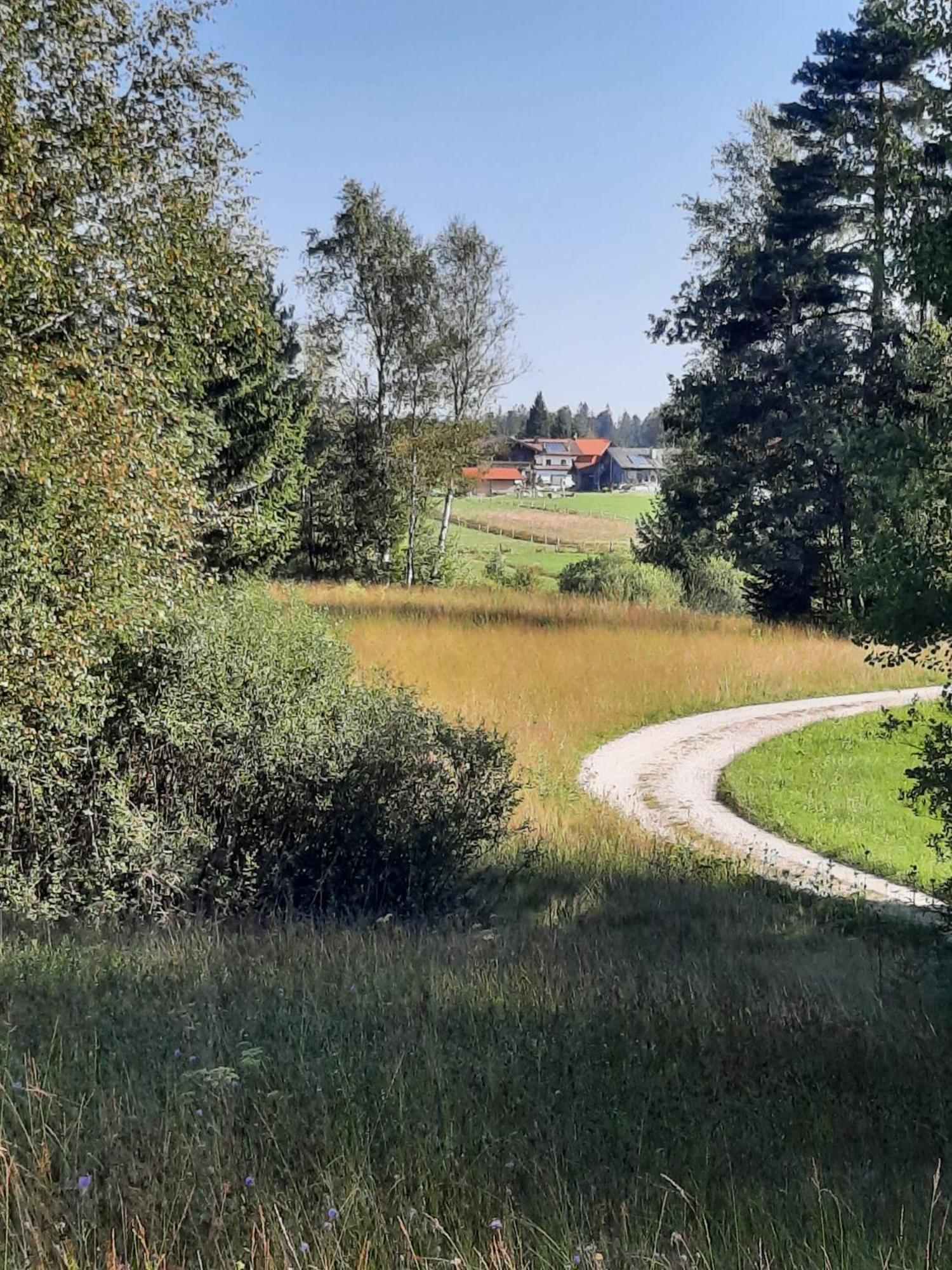 Ferienwohnung Am Wirtshof Siegsdorf Dış mekan fotoğraf